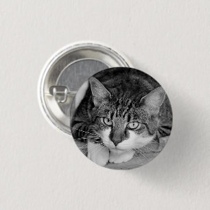 Bóton Redondo 2.54cm Tabby e Face Branca de Gato