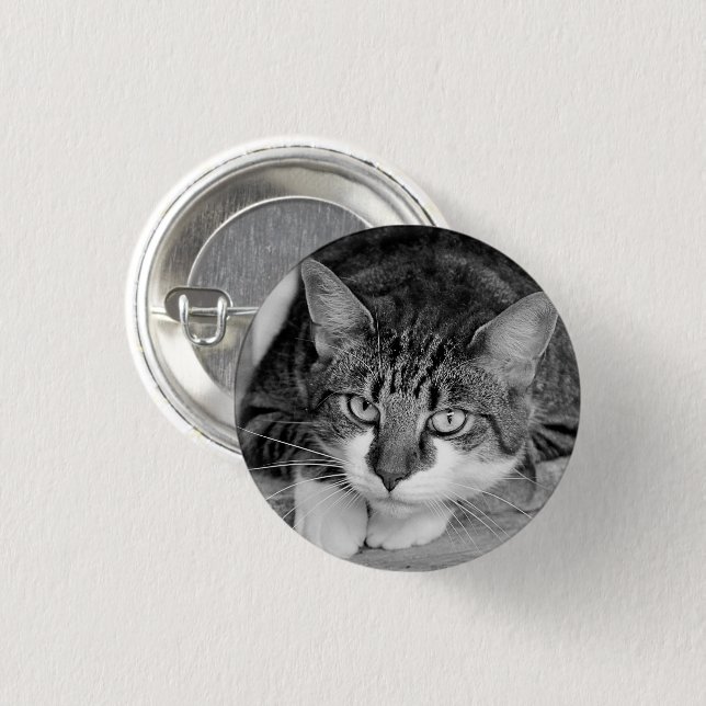 Bóton Redondo 2.54cm Tabuleiro e Gato Branco (Frente & Verso)