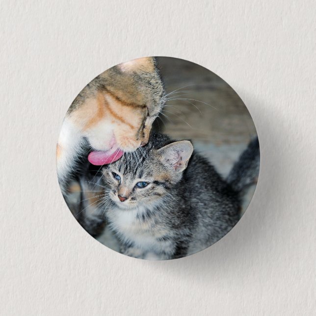 Bóton Redondo 2.54cm Tempo de banho (Frente)