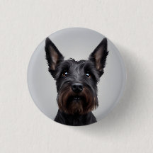 Terrier escocês