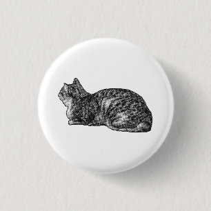 Bóton Redondo 2.54cm Tiny Tabby, Grande Poise