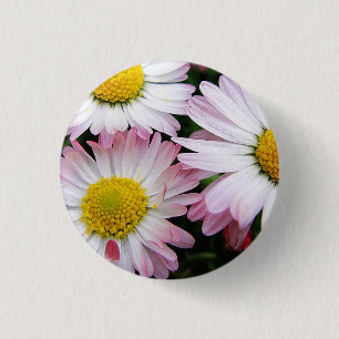 Bóton Redondo 2.54cm Três margaridas rosa e branca