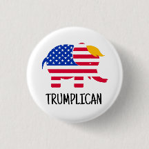 Trump Election 2024 Campaign Novelty Gift