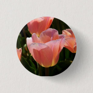 Bóton Redondo 2.54cm Tulipa Rosa