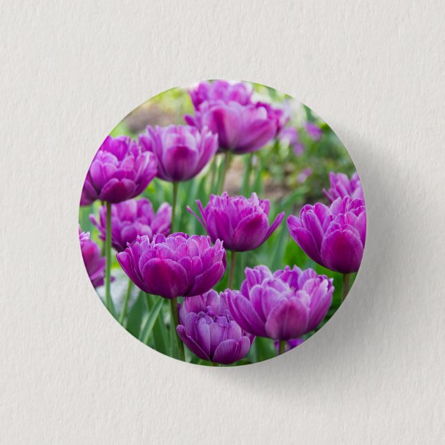 Bóton Redondo 2.54cm Tulipas lilás brilhantes num dia ensolarado (Frente)