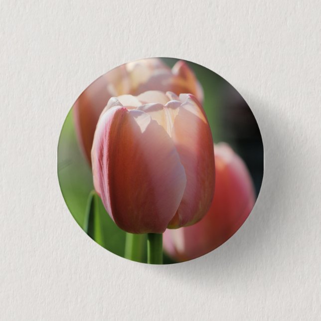 Bóton Redondo 2.54cm Tulipas rosa (Frente)