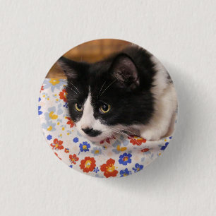 Bóton Redondo 2.54cm Tuxedo Cat