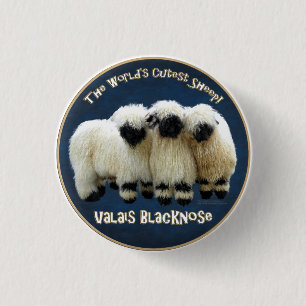 Bóton Redondo 2.54cm Valais Blacknose - A ovelha mais suja do mundo!
