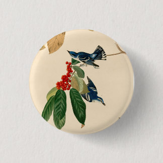 Bóton Redondo 2.54cm Vintage Audubon Cerulean Warbler - Pintura de páss