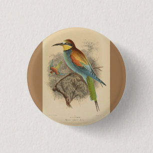 Bóton Redondo 2.54cm Vintage - Ilustração do Bee-Eater Europeu
