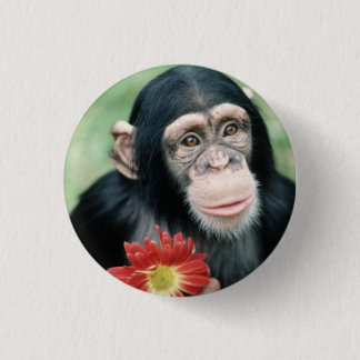 Bóton Redondo 2.54cm Você casar-me-á?