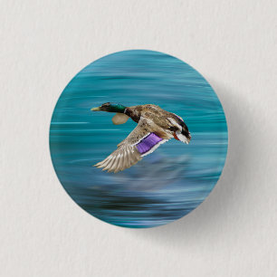 Bóton Redondo 2.54cm Voo de patos-reais