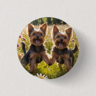 Bóton Redondo 2.54cm Yorkshire Terriers jogando na grama