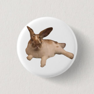 Bóton Redondo 2.54cm Zesty Paddy Crachá