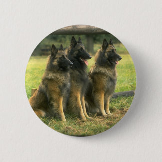 BÓTON REDONDO 5.08CM 3 GERMAN SHEPHERD