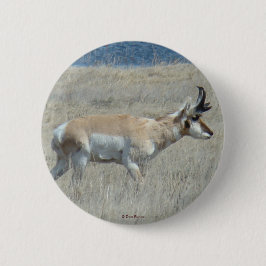 Bóton Redondo 5.08cm A25 Pronghorn Antelope