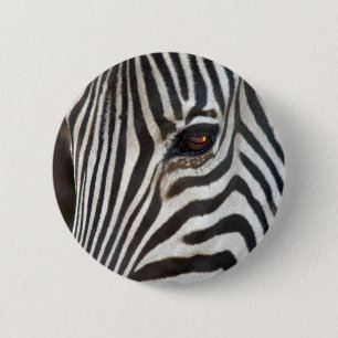 Bóton Redondo 5.08cm A zebra de Chapman