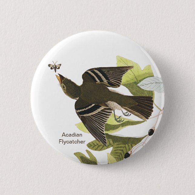 Bóton Redondo 5.08cm Acade Flycatcher, John James Audubon Birdwatcher (Frente)