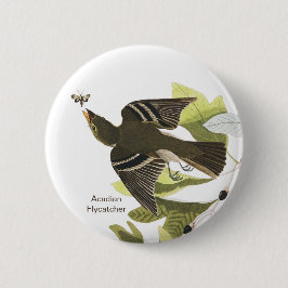 Bóton Redondo 5.08cm Acade Flycatcher, John James Audubon Birdwatcher