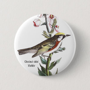 Bóton Redondo 5.08cm Acessório De Castanheiro, Audubon, Acessório De