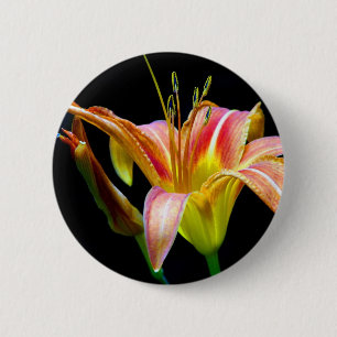 Bóton Redondo 5.08cm Adorável Roupa e presentes de Tawny Daylily II