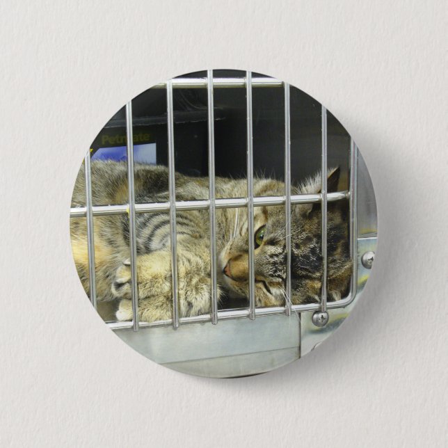 Bóton Redondo 5.08cm Adote um botão 001 do gato (Frente)