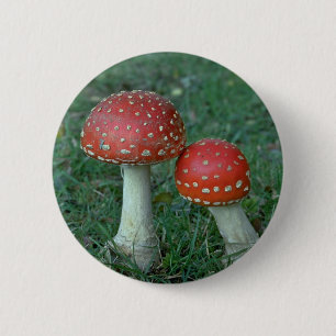 Bóton Redondo 5.08cm Agarics de mosca (muscaria do amanita)