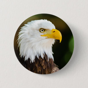Bóton Redondo 5.08cm Águia Balda Americana de Adultos Patriótica