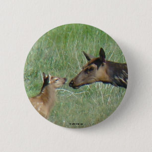Bóton Redondo 5.08cm Alces e vitela da vaca E3