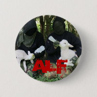 ALF