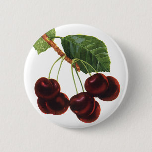 Bóton Redondo 5.08cm Alimentos da fruta do vintage, cerejas maduras de