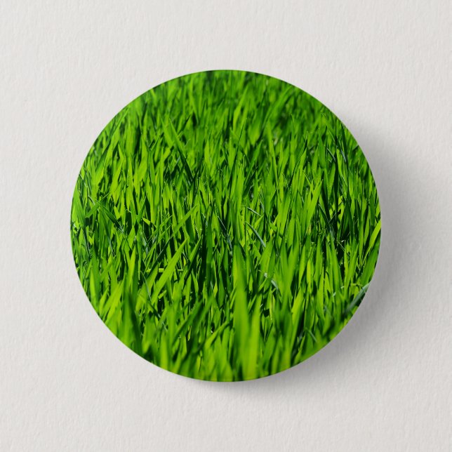 Bóton Redondo 5.08cm Altas lâminas de grama (Frente)