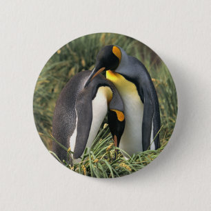 Bóton Redondo 5.08cm Amantes dos pinguins de rei