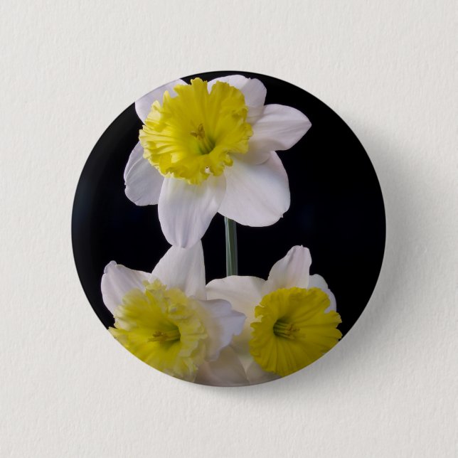 Bóton Redondo 5.08cm Amarelo no Daffodil Branco (Frente)