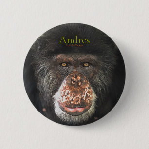 Bóton Redondo 5.08cm Andres, salve os chimpanzés