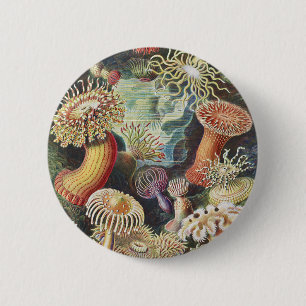 Bóton Redondo 5.08cm Anêmonas-do-mar de Haeckel Colagem de arte náutica