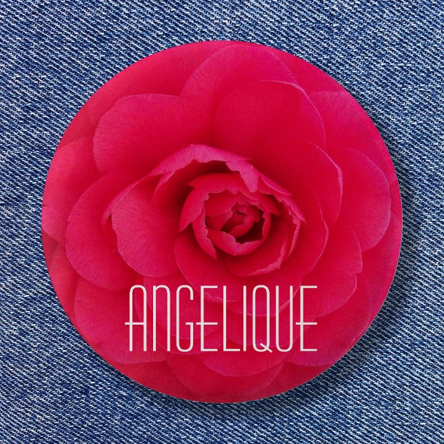 Bóton Redondo 5.08cm Angelique em uma Camellia Rosa (Angelique on a Pink Camellia Pinback Button)