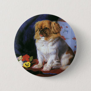 Bóton Redondo 5.08cm Animais Antigos, Cachorrinho Toy Pekingese