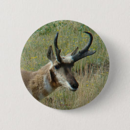 Bóton Redondo 5.08cm Antilope A12 Pronghorn