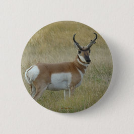 Bóton Redondo 5.08cm Antilope A1 Pronghorn