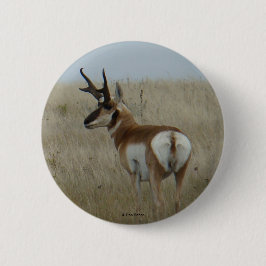 Bóton Redondo 5.08cm Antilope A22 Pronghorn