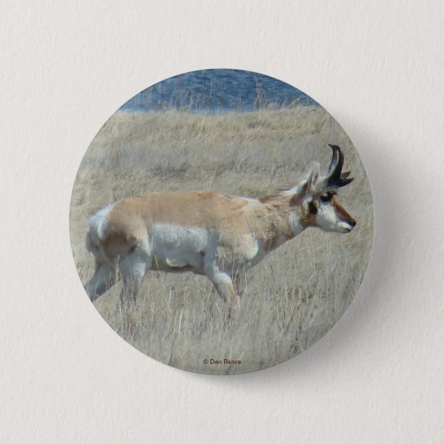Bóton Redondo 5.08cm Antilope A25 Pronghorn (Frente)