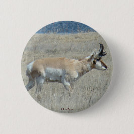 Bóton Redondo 5.08cm Antilope A25 Pronghorn