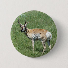 Bóton Redondo 5.08cm Antilope A3 Pronghorn