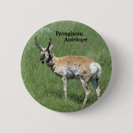 Bóton Redondo 5.08cm Antilope A3 Pronghorn