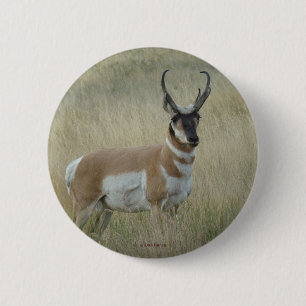 Bóton Redondo 5.08cm Antilope A8 Pronghorn