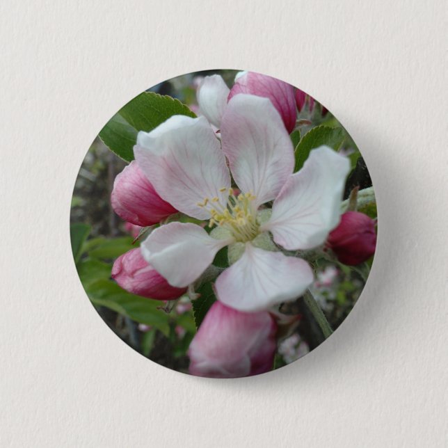 Bóton Redondo 5.08cm Apple floresce (Frente)