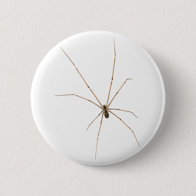 Bóton Redondo 5.08cm Aranha (Frente)