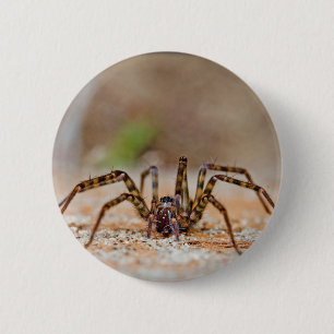Bóton Redondo 5.08cm aranha a