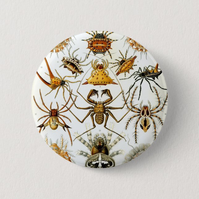 Bóton Redondo 5.08cm Aranhas dos aracnídeos de Ernst Haeckel (Frente)